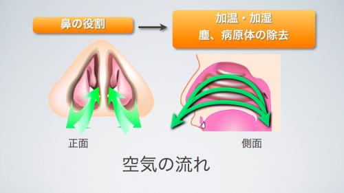 鼻づまり